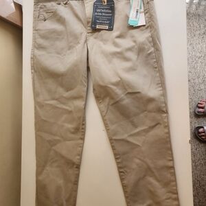 Democracy Karessa Capri Skinny Jean